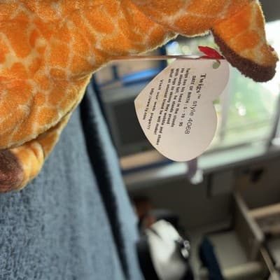 TY BEANIE BABY "TWIGS" 1995 RARE GIRAFFE WITH ERROR *NO COMMA *MINT* - Thumbnail 2