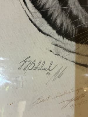1977 Large Original Signed “White Tiger Head “ By Guy Coheleach” With Note - Thumbnail 2