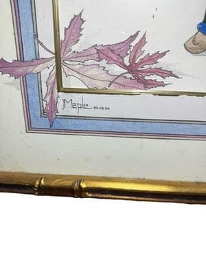 Graham Illingworth Japanese Maple Bonsai Framed Print Bamboo Gold Frame - Thumbnail 5