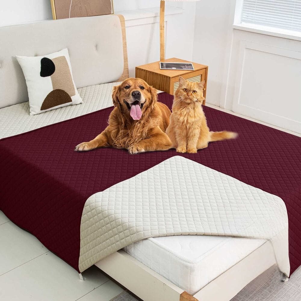 Washable Pet Blanket Furniture Protector Sofa Couch Cover for Dogs and Cats - Thumbnail 2