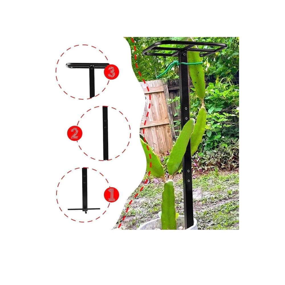 Dragon Fruit Trellis Garden Climbing Support for Fruits Roses Houseplants - Thumbnail 4