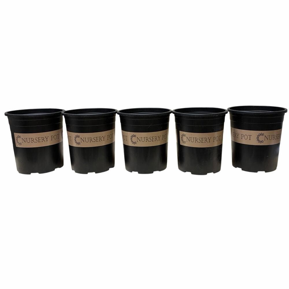 5 Set Of 1 Gallon Nursing Pot - Thumbnail 4