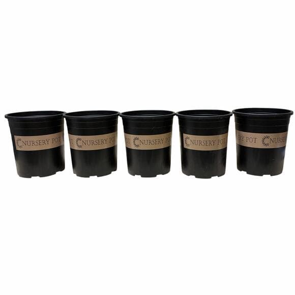 5 Set Of 1 Gallon Nursing Pot - Thumbnail 5