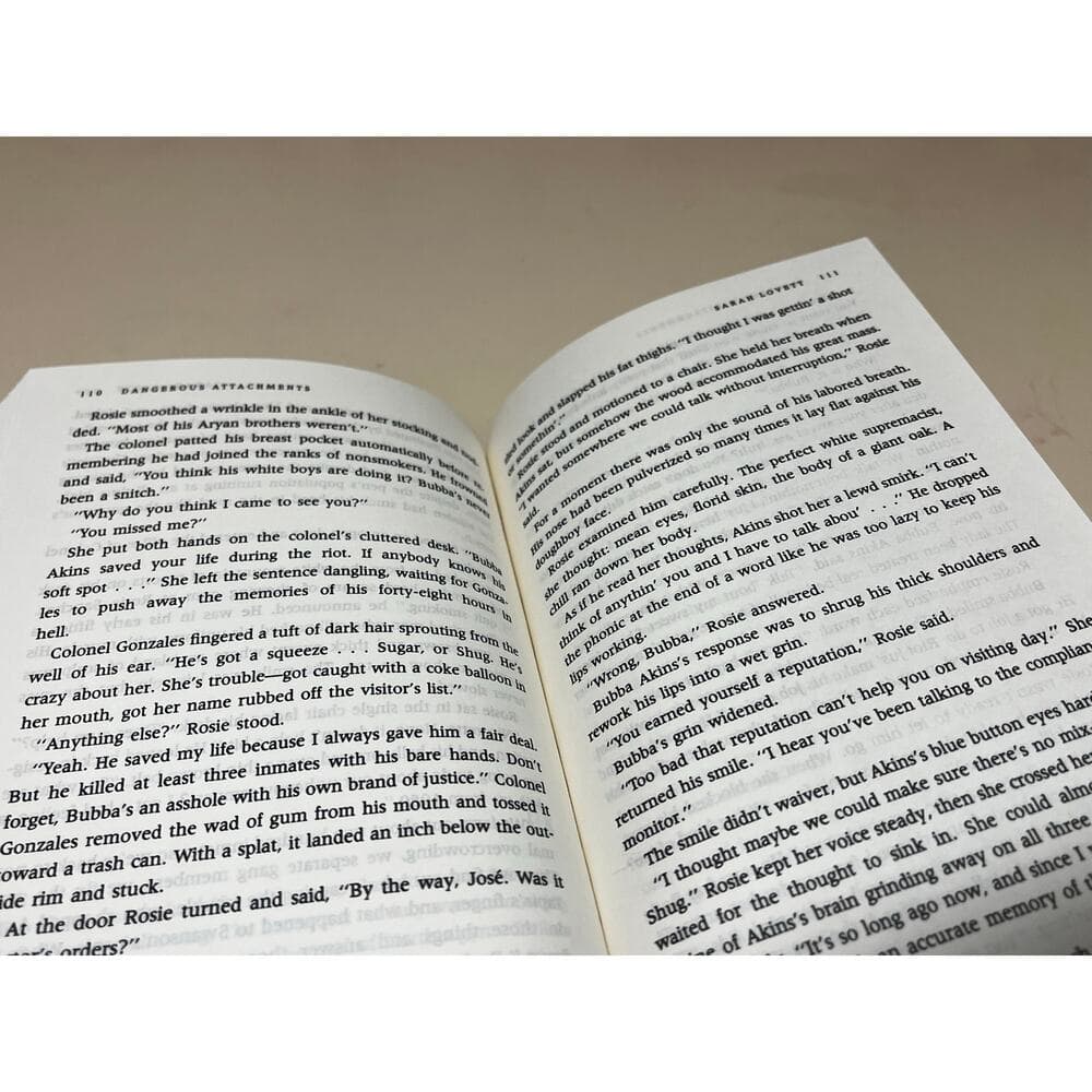 Dangerous Attachments Sarah Lovett HardCover Book - Thumbnail 5