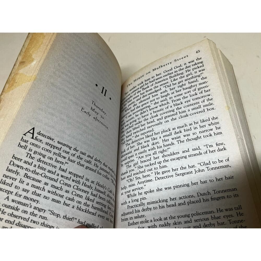 The House On Mulberry Street By Maan Meyers book - Thumbnail 2