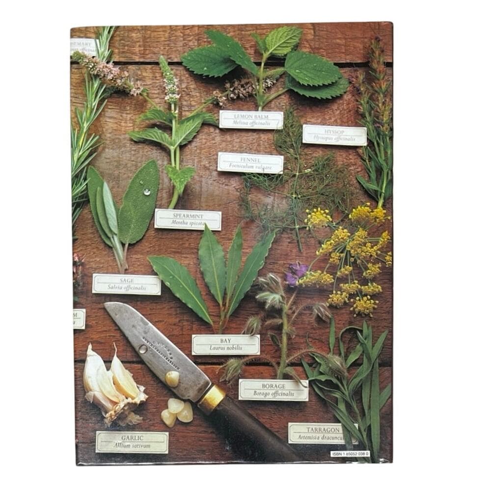 The Herb Book Arabella Boxer & Philippe Back HardCover Bok - Thumbnail 2
