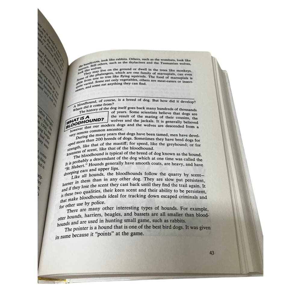The big book of tell me why - Thumbnail 3