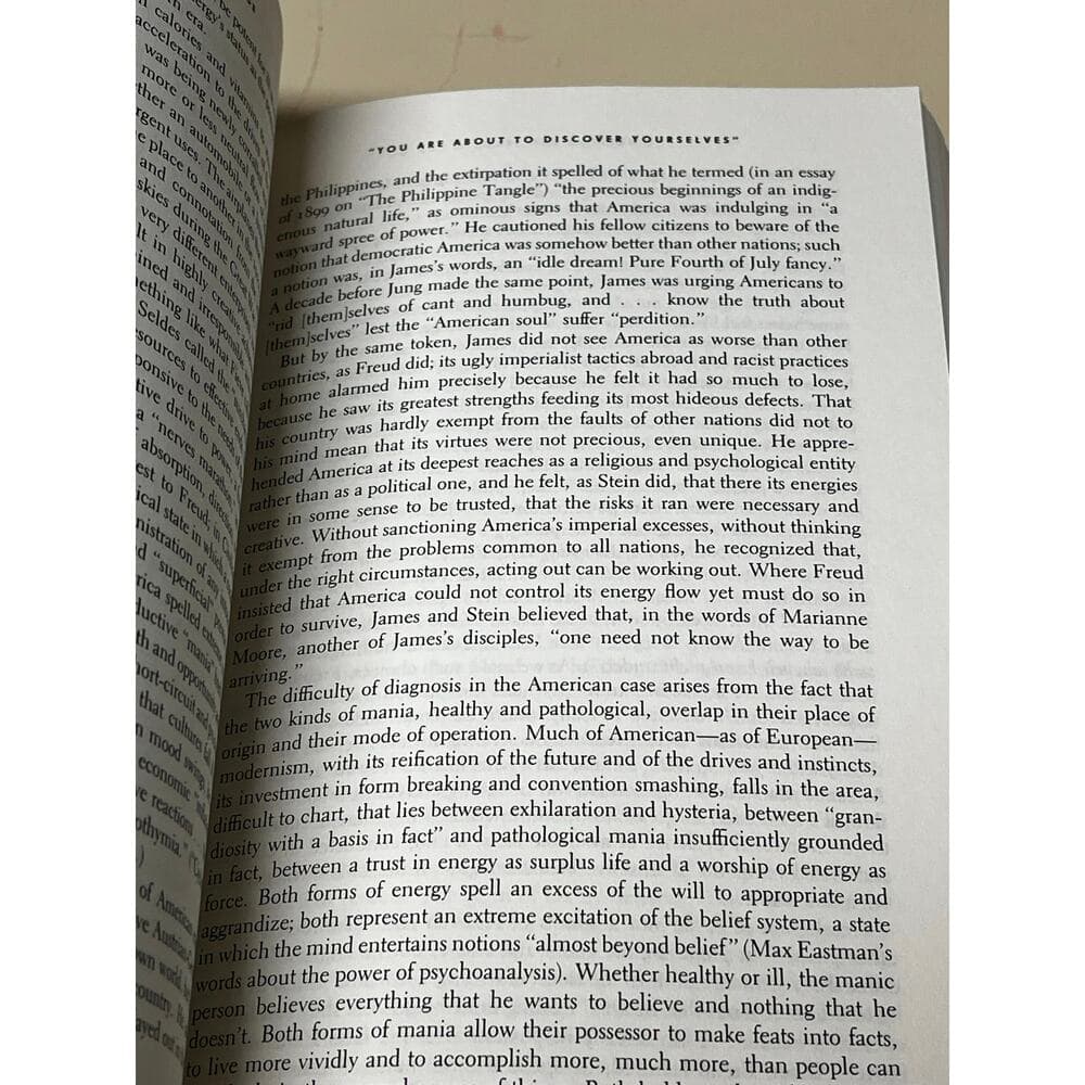 Terrible Honesty: Mongrel Manhattan in the 1920s Book - Thumbnail 2