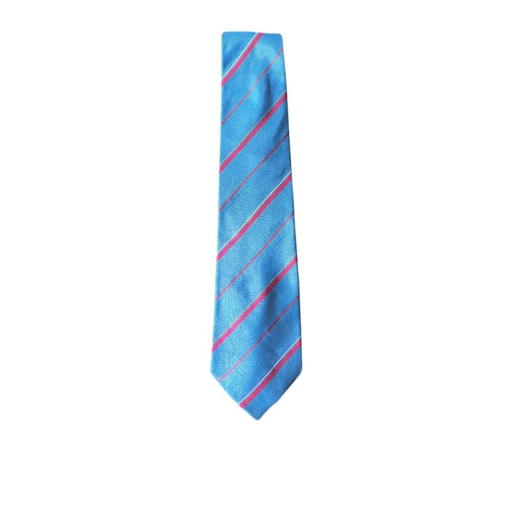 Cabralli Collection Blue Men’s Tie - Thumbnail 4