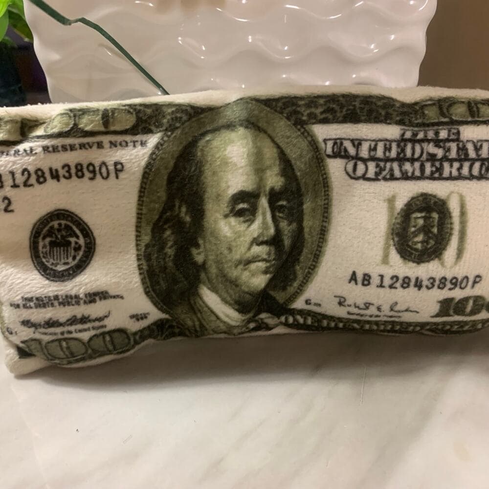 100 dollar bill stuff animal - Thumbnail 3
