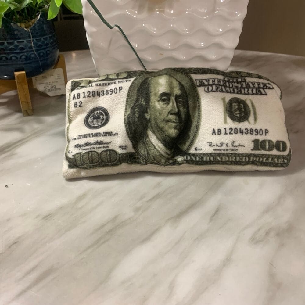 100 dollar bill stuff animal - Thumbnail 2