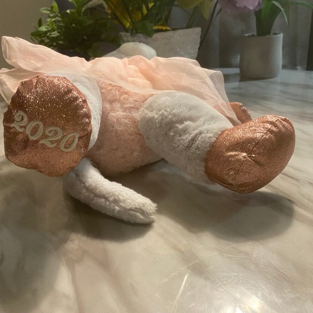 Dandee Ballerina Mouse Stuffed Animal Plush 2020 Grey Pink Dress Tulle Sparkly - Thumbnail 3
