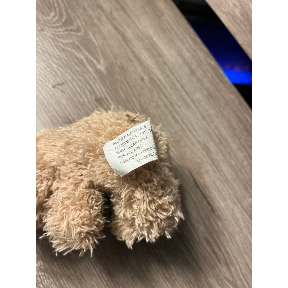 Brown and Green Mini teddy bear selling the stuffed animal 5” - Thumbnail 3