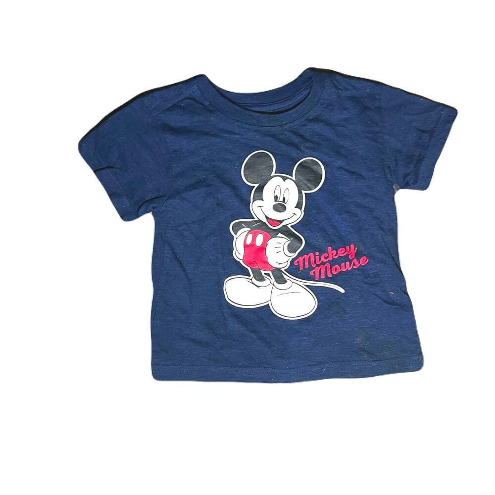 A Bundle Of 9 Name Brand Kids Tops Size 3T - Thumbnail 3