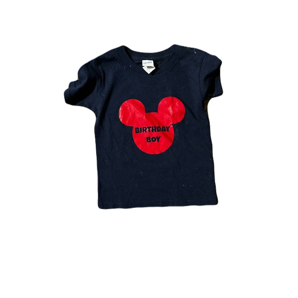 A Bundle Of 9 Kids Name Brand Tops Size 4T - Thumbnail 2