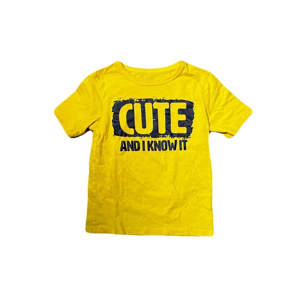 A Bundle Of 9 Kids Name Brand Tops Size 4T - Thumbnail 3