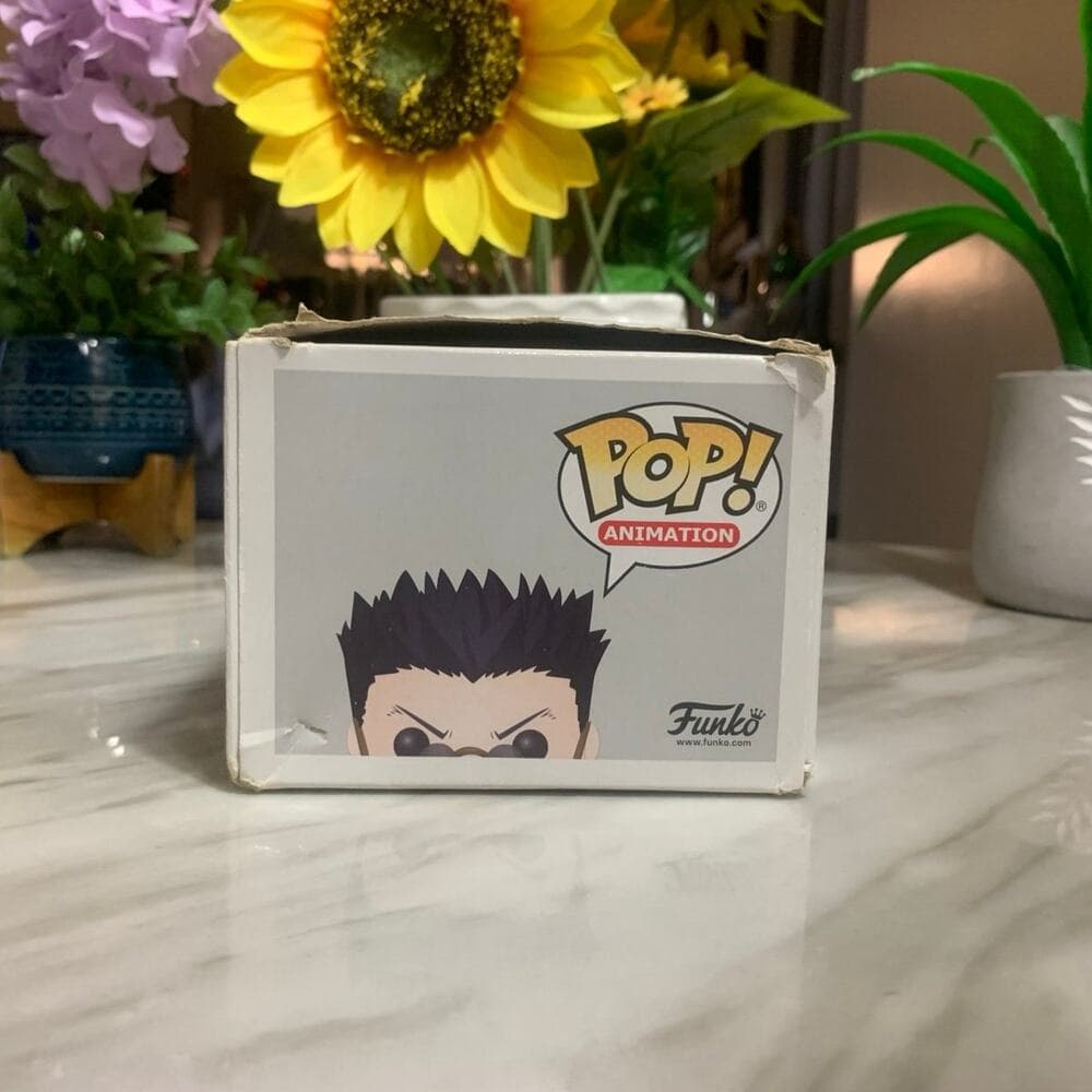 Funko POP! Anime: Hunter X Hunter LEORIO Figure #700 - Thumbnail 6
