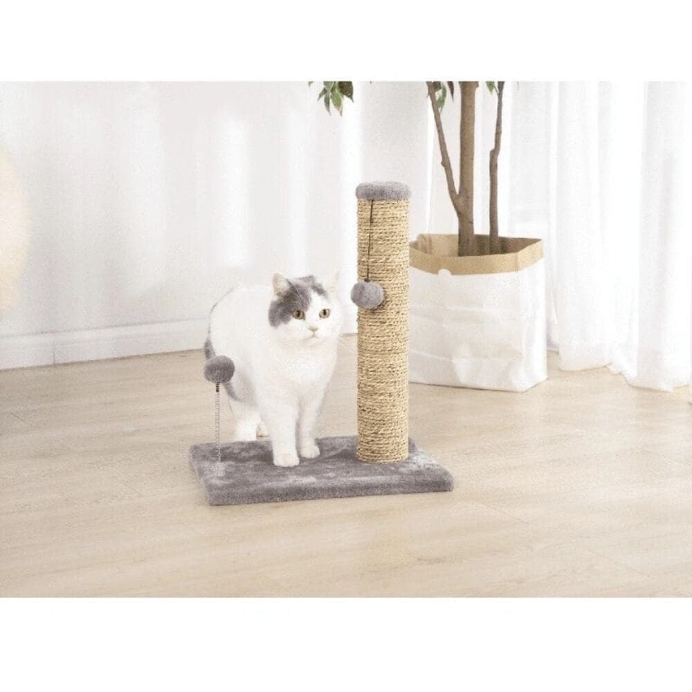 Seagrass Cat Scratch & Play Post W/ Dangle Toys Entertainment Exercise Portable - Thumbnail 2