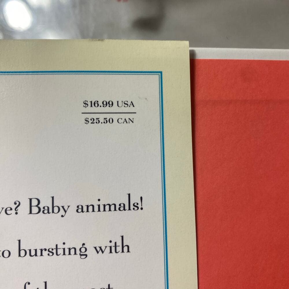 Baby animals book - Thumbnail 6