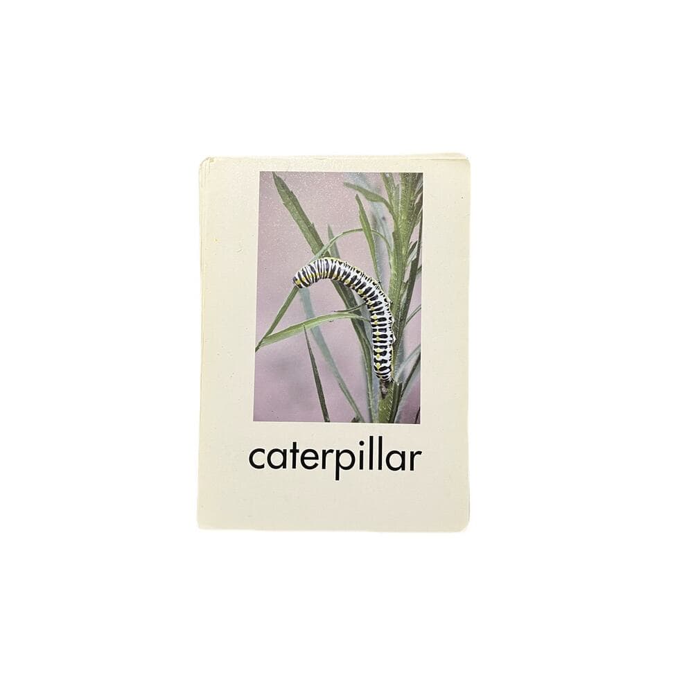 90 flash cards for kids age 3 to 5 Cards For Kids - Thumbnail 2