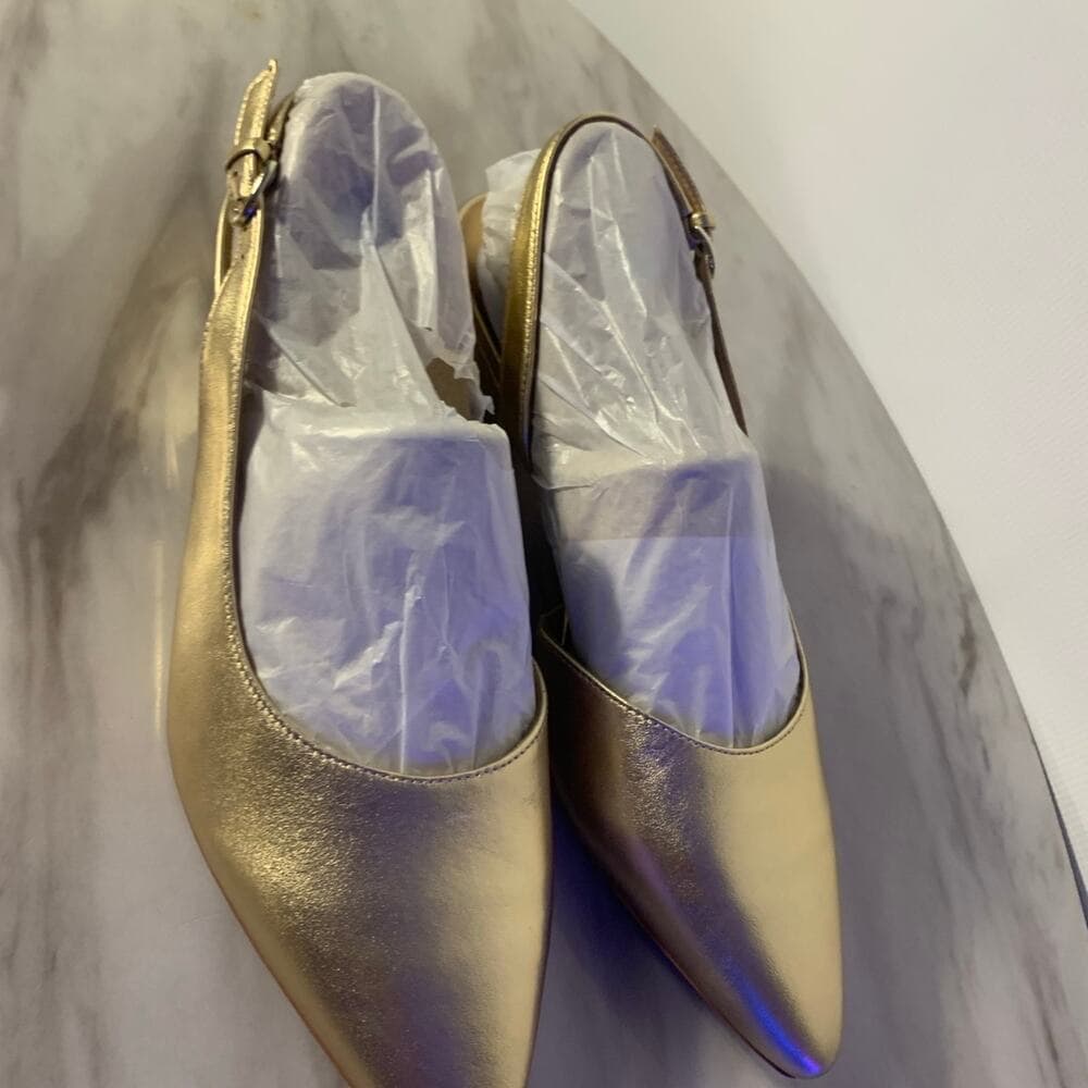 Banks Pointed Toe Flat 9 1/2 - Thumbnail 3