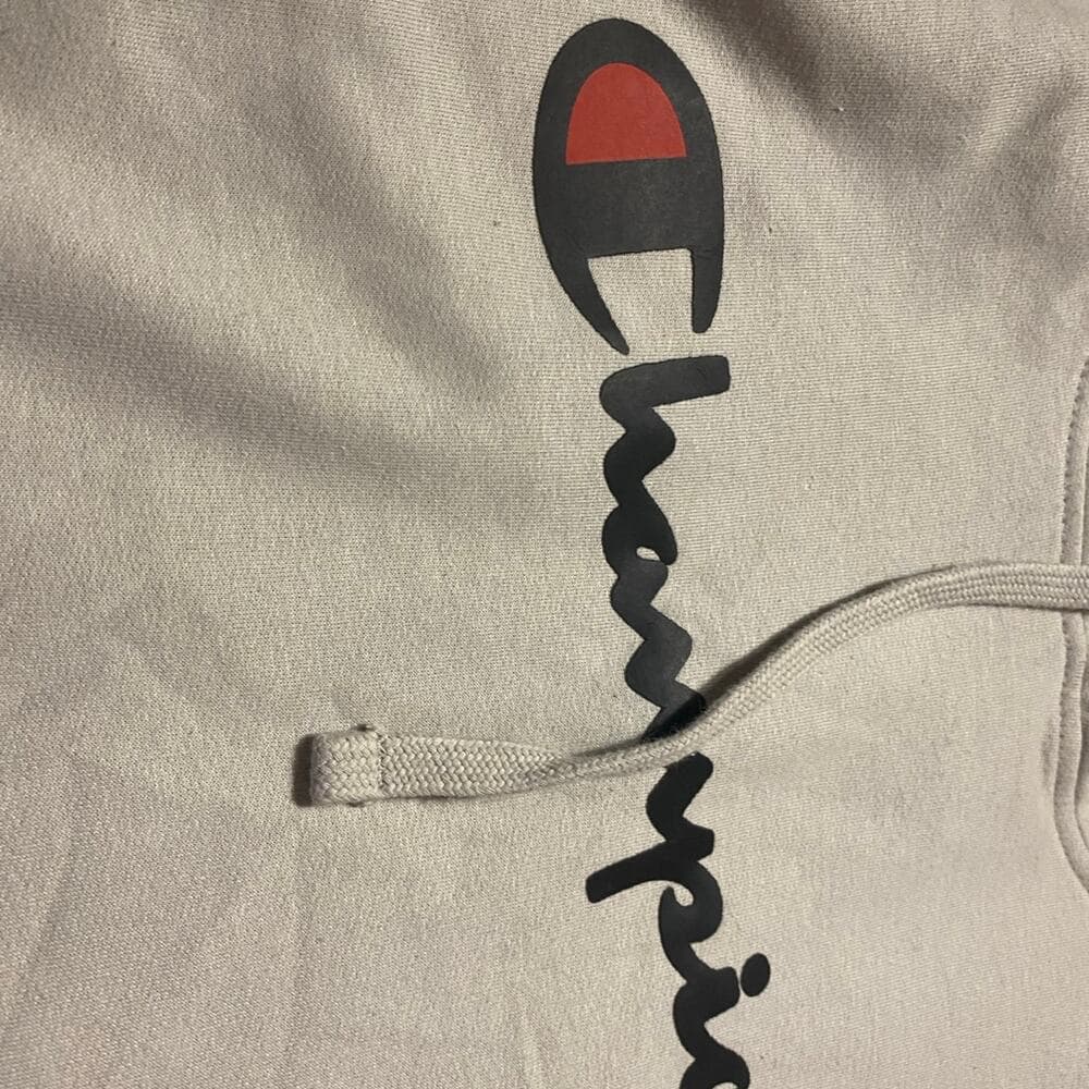 Champion Hoodie - Thumbnail 2