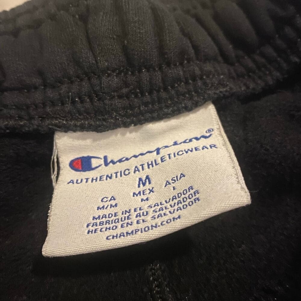 Champion sweatpants For men’s size medium - Thumbnail 2