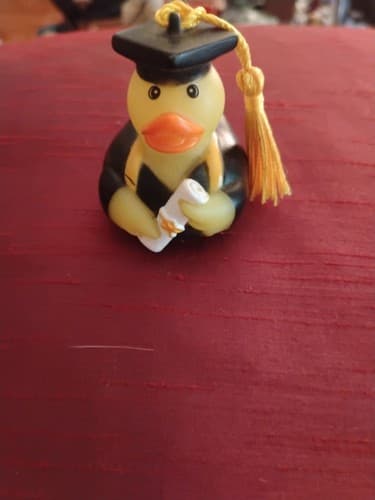 Rubber Duck Graduation 2" Black Cap Gown Diploma Duck Jeep Owners