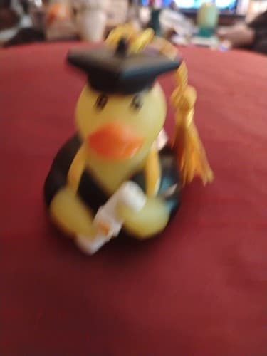 Rubber Duck Graduation 2" Black Cap Gown Diploma Duck Jeep Owners - Thumbnail 4