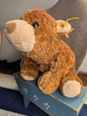 Rare Vintage Steiff Cosy Plush Bear #082115 Polyester Flat Lay Soft Brown Teddy - Thumbnail 4