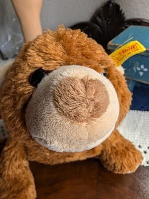 Rare Vintage Steiff Cosy Plush Bear #082115 Polyester Flat Lay Soft Brown Teddy - Thumbnail 13
