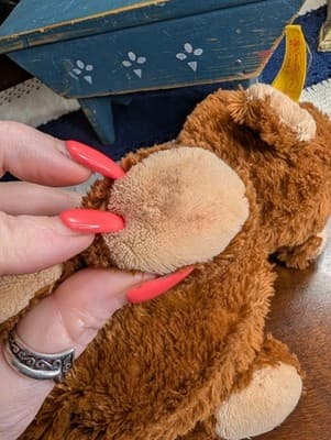 Rare Vintage Steiff Cosy Plush Bear #082115 Polyester Flat Lay Soft Brown Teddy - Thumbnail 10