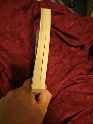 A Double Dose of Love (An Amish Mail-Order Bride Novel) - Paperback - Very GOOD - Thumbnail 4