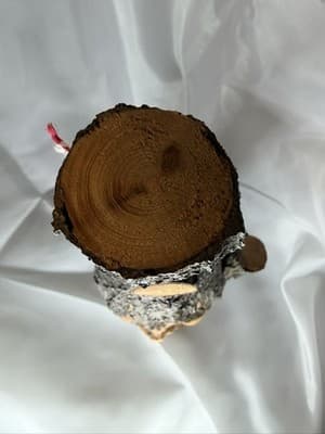 Wood Tree Bark Liquor Decanter Bottle Cork Stopper Man Face Vintage Folk Art - Thumbnail 6