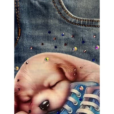 Mila Rose Girls Upstyled Puppy Rhinestone Detail Denim Shorts Blue Size 10 EUC - Thumbnail 8