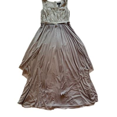 R&M Richards Floral Lace Chiffon Elegant Evening Sleeveless Dress Beige Size 14 - Thumbnail 3