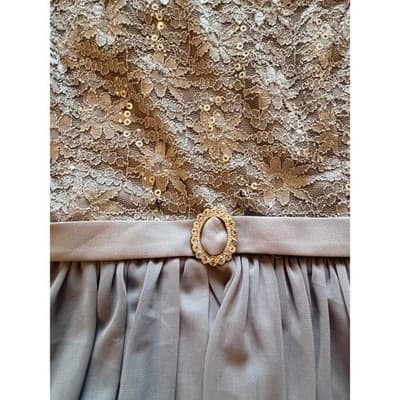 R&M Richards Floral Lace Chiffon Elegant Evening Sleeveless Dress Beige Size 14 - Thumbnail 11