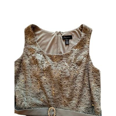 R&M Richards Floral Lace Chiffon Elegant Evening Sleeveless Dress Beige Size 14 - Thumbnail 17