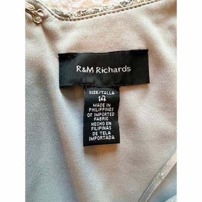 R&M Richards Floral Lace Chiffon Elegant Evening Sleeveless Dress Beige Size 14 - Thumbnail 15