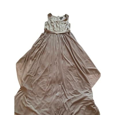 R&M Richards Floral Lace Chiffon Elegant Evening Sleeveless Dress Beige Size 14 - Thumbnail 4