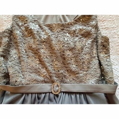 R&M Richards Floral Lace Chiffon Elegant Evening Sleeveless Dress Beige Size 14 - Thumbnail 14