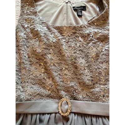 R&M Richards Floral Lace Chiffon Elegant Evening Sleeveless Dress Beige Size 14 - Thumbnail 5