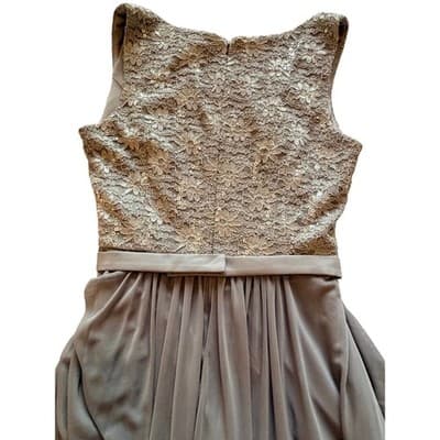 R&M Richards Floral Lace Chiffon Elegant Evening Sleeveless Dress Beige Size 14 - Thumbnail 24