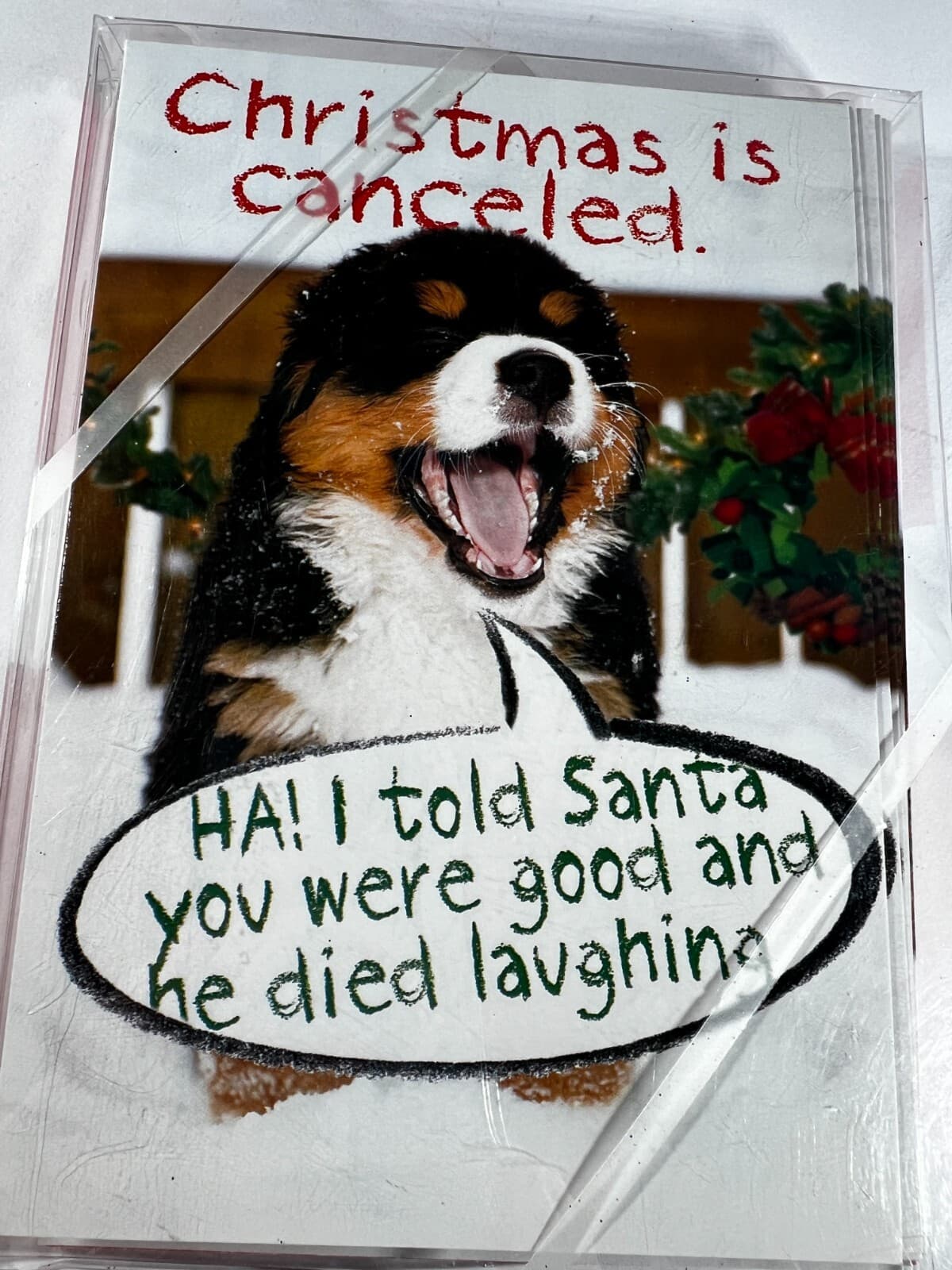 Set of 12 Holiday Funny Cards Christmas Is Canceled Peti Greet Nobleworks NEW - Thumbnail 5