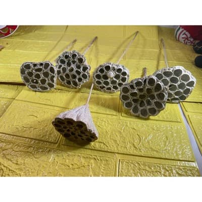 Vintage Lotus Seed Pod Floral Picks Christmas Holiday White Silver Set - Thumbnail 9