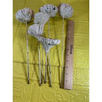 Vintage Lotus Seed Pod Floral Picks Christmas Holiday White Silver Set - Thumbnail 18