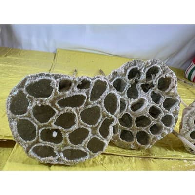 Vintage Lotus Seed Pod Floral Picks Christmas Holiday White Silver Set - Thumbnail 7