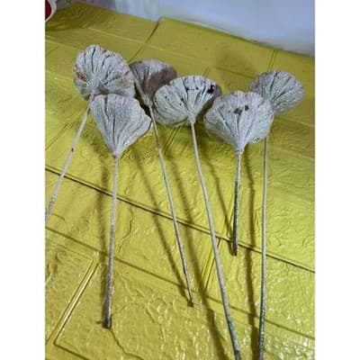 Vintage Lotus Seed Pod Floral Picks Christmas Holiday White Silver Set - Thumbnail 15