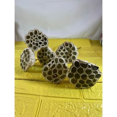 Vintage Lotus Seed Pod Floral Picks Christmas Holiday White Silver Set - Thumbnail 2