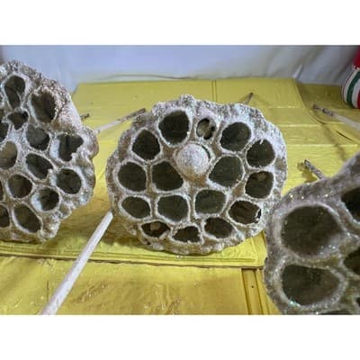 Vintage Lotus Seed Pod Floral Picks Christmas Holiday White Silver Set - Thumbnail 10